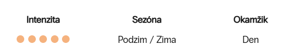 Snímek obrazovky 2026-08-04 202051